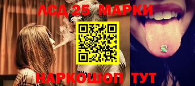 шишки Лесосибирск