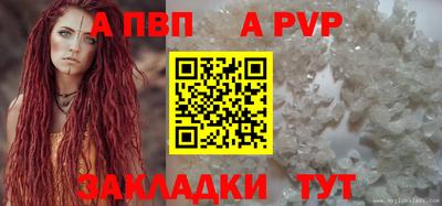шишки Лесосибирск