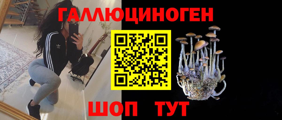 Псилоцибиновые грибы Cubensis  Галлюциногенные грибы MAGIC MUSHROOMS  Югорск  Вход с VPN 